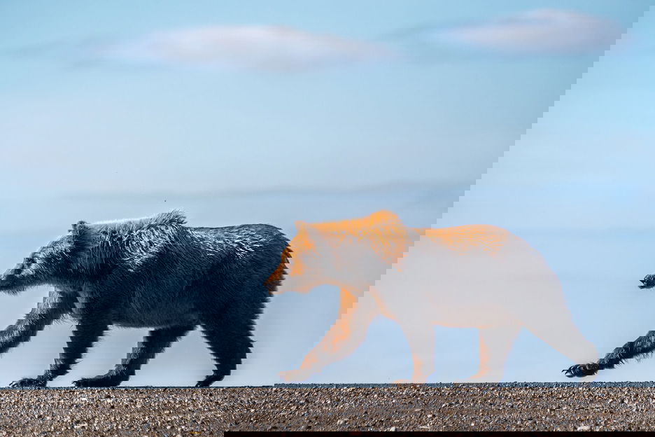 Learn photography with Fujifilm, Image Stabilization Explained