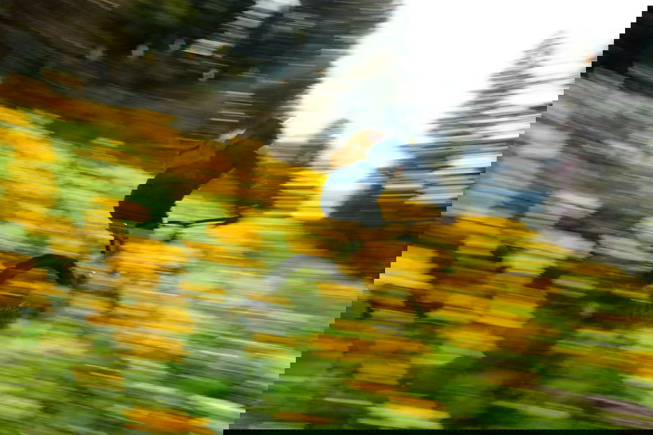 Learn photography with Fujifilm, Top tips for panning action