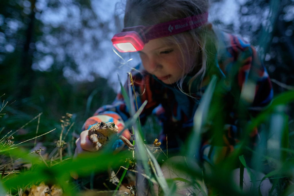 Learn photography with Fujifilm, Using Large Aperture Lenses in Low Light