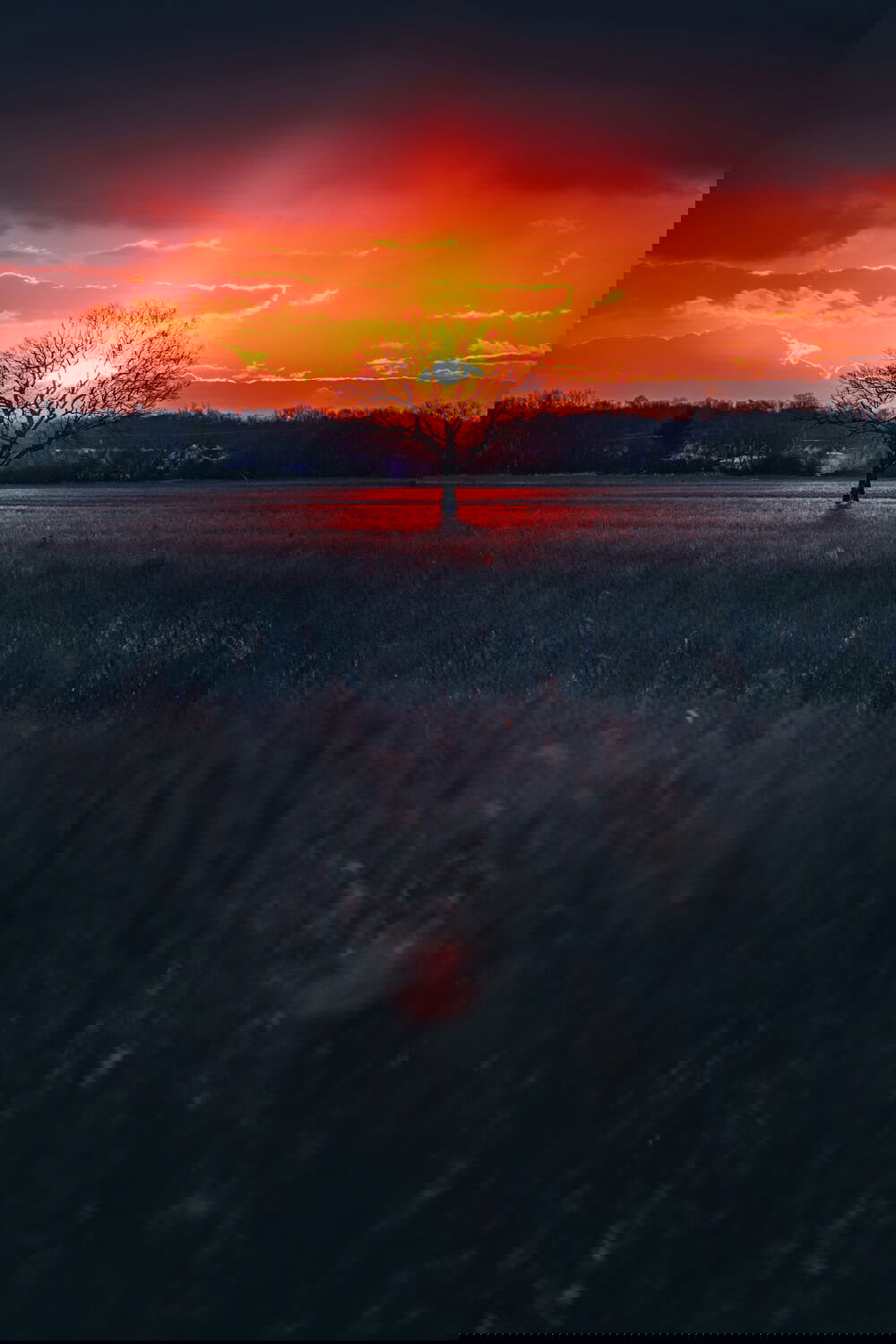 Photographer Bryan Minear uses FUJINON professional zooms to photograph the Michigan landscapes