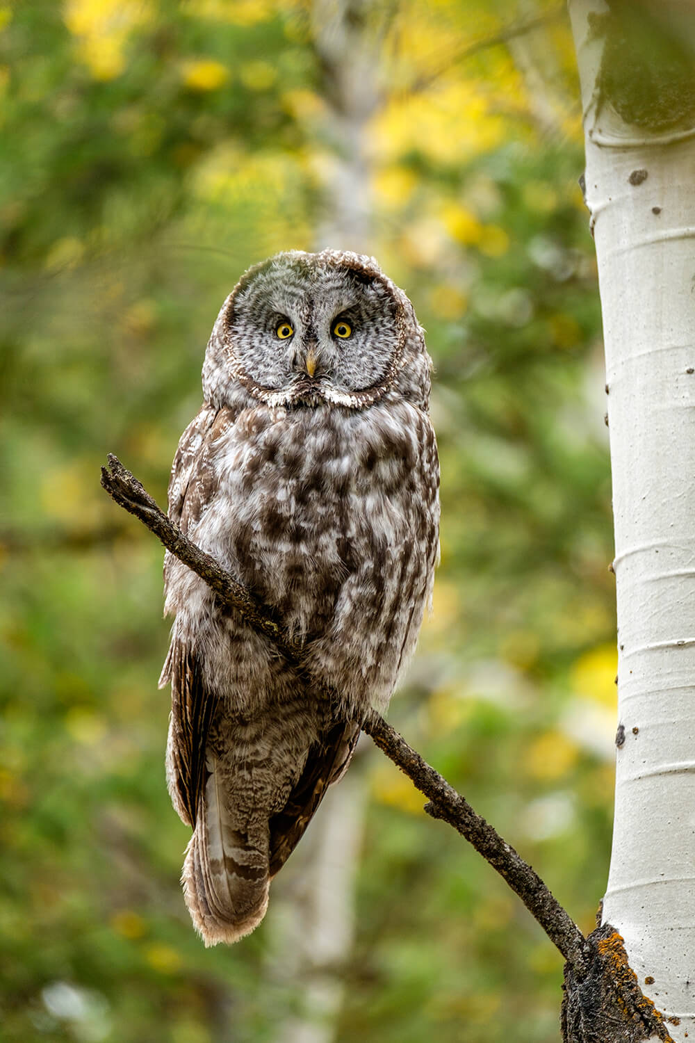 Learn photography with Fujifilm, Focal Lengths Demystified