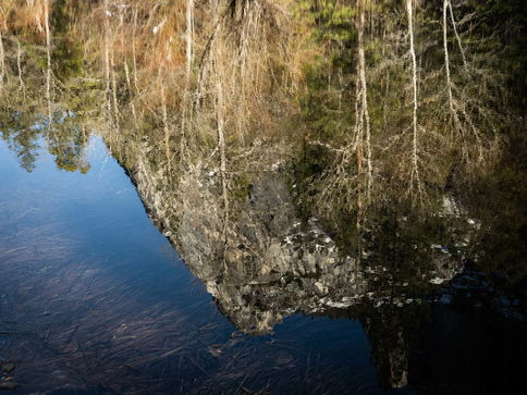 A reflection of a Yosemite mountain is caught in the reflection of nearby waters