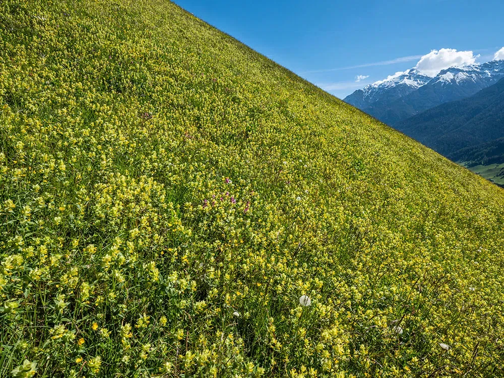 gf23mmf4-r-lm-wr_img03