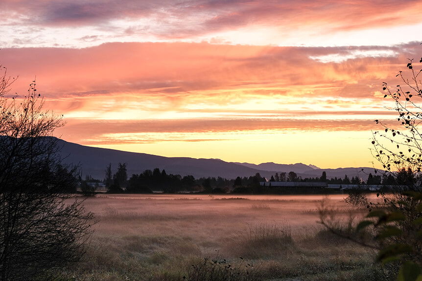 Learn photography with Fujifilm, X-Pro3: The Perfect Documentary Camera?