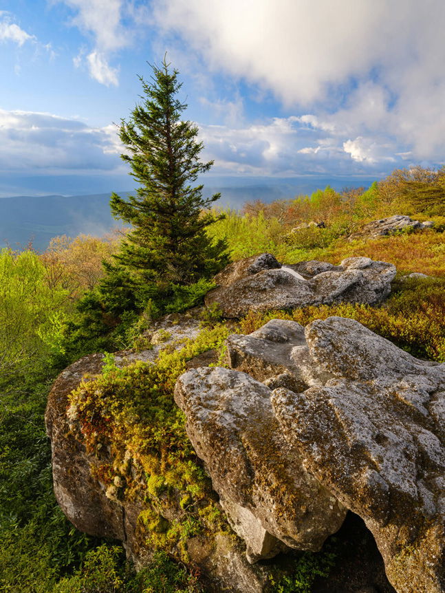 Landscape photographer, Justin Black tests the FUJINON GF30mmF3.5 R WR