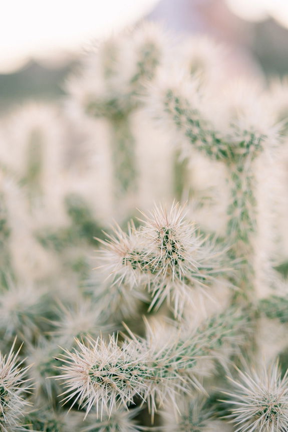 FUJIFILM X Photographer Caroline Tran uses FUJINON XF50mmF1.0 R WR to create engagement portraits