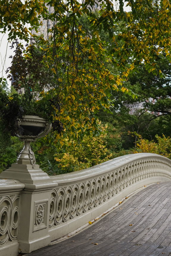Wedding photographer, Petronella Lugemwa tests FUJIFILM X-S10. Image shows an empty curved bridge in Central Park, New York City.