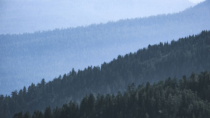 Karen Hutton creates moving landscapes of the Sierras with FUJIFILM X-S10 camera