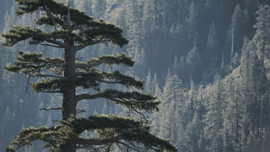 Karen Hutton creates moving landscapes of the Sierras with FUJIFILM X-S10 camera