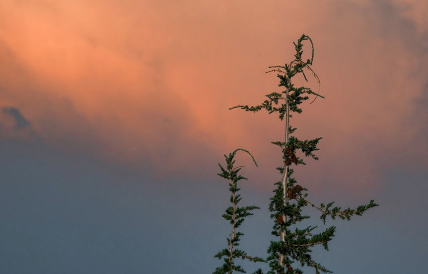 Karen Hutton creates moving landscapes of the Sierras with FUJIFILM X-S10 camera