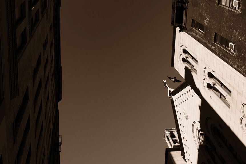 Fujifilm Street Therapy