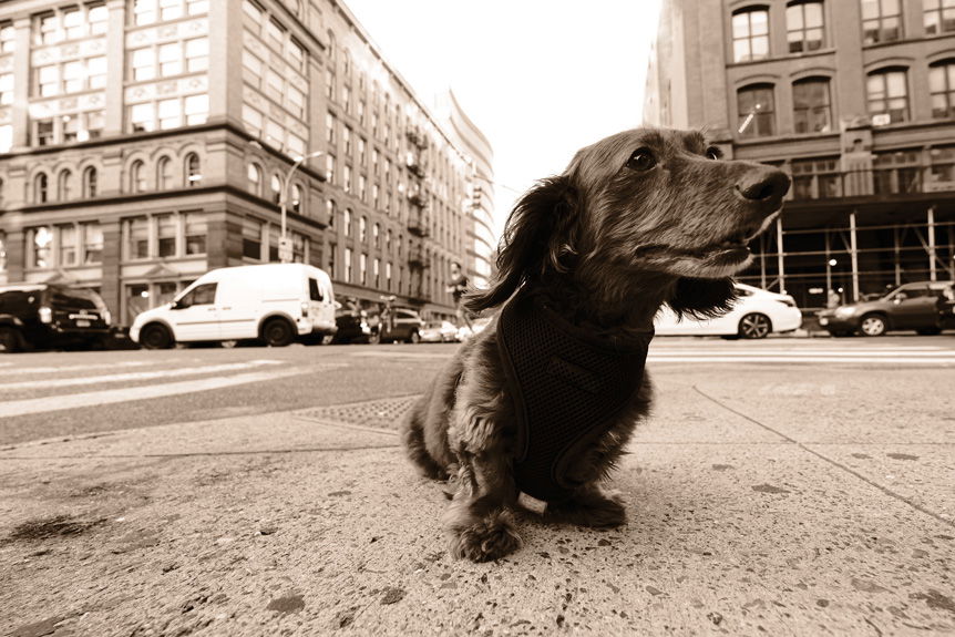 Fujifilm Street Therapy