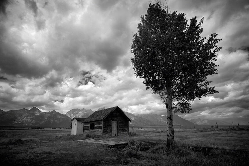 A small, wooden house and a tree stand against a rugged landscape