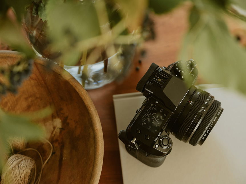 FUJIFILM GFX50S II beneath house plant