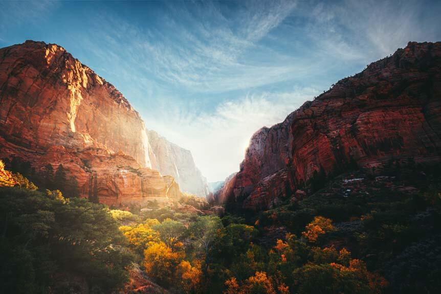 Rays of sun shining around wall of tree-filled canyon