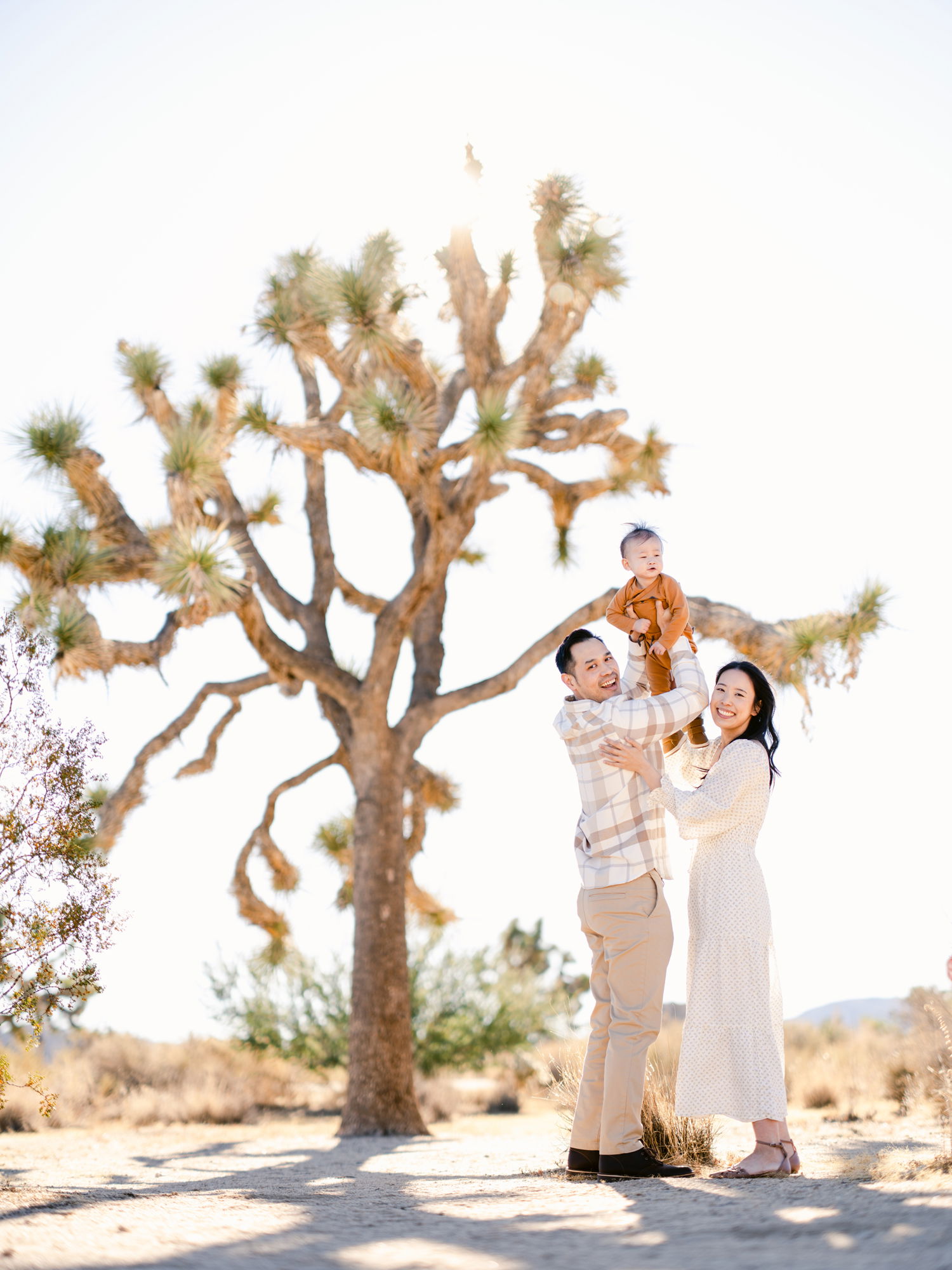 An jovial Asian couple playfully hold their toddler towards the sun, smiling