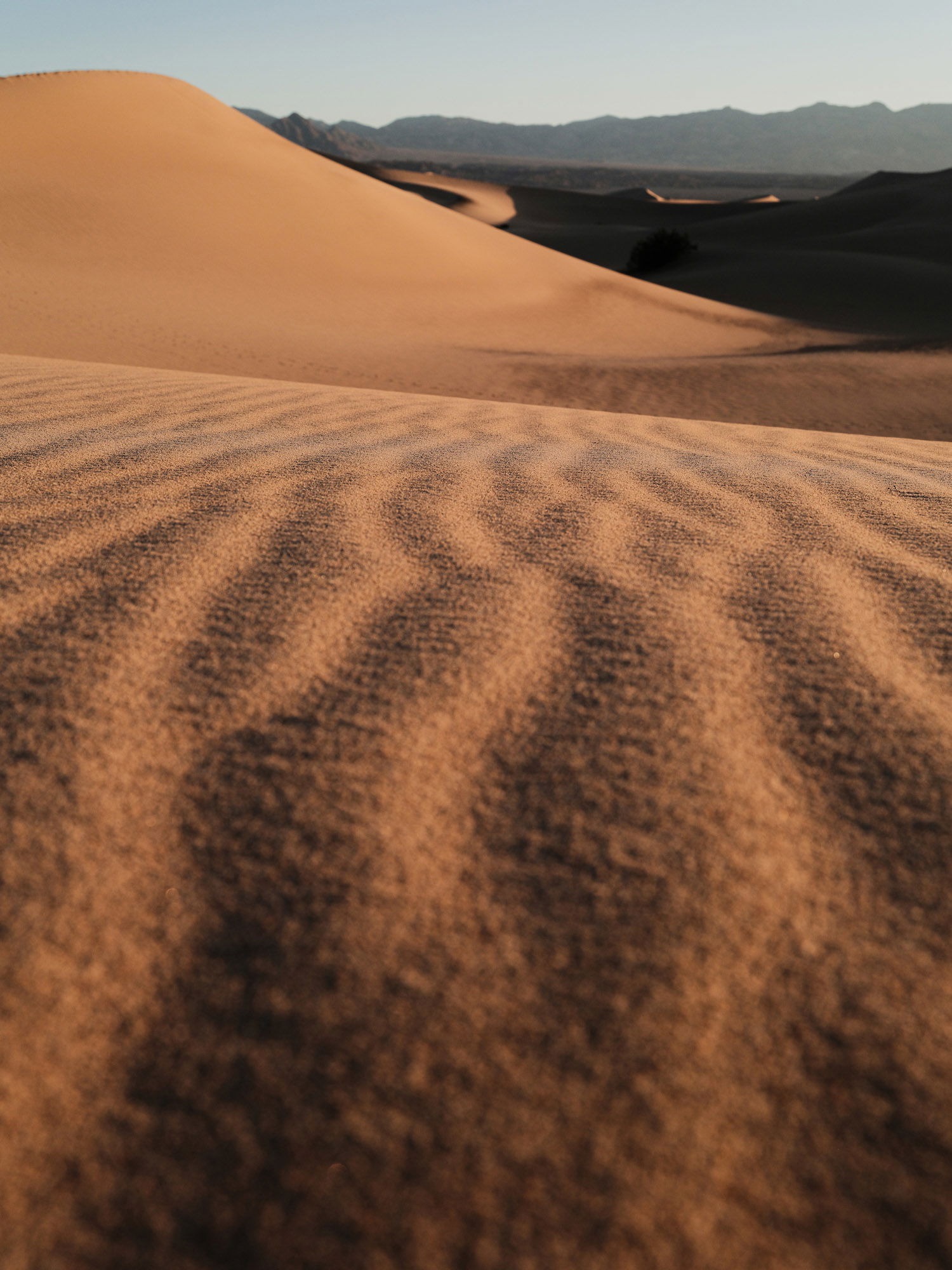 Ripples of sand stretch far away in Death Valley