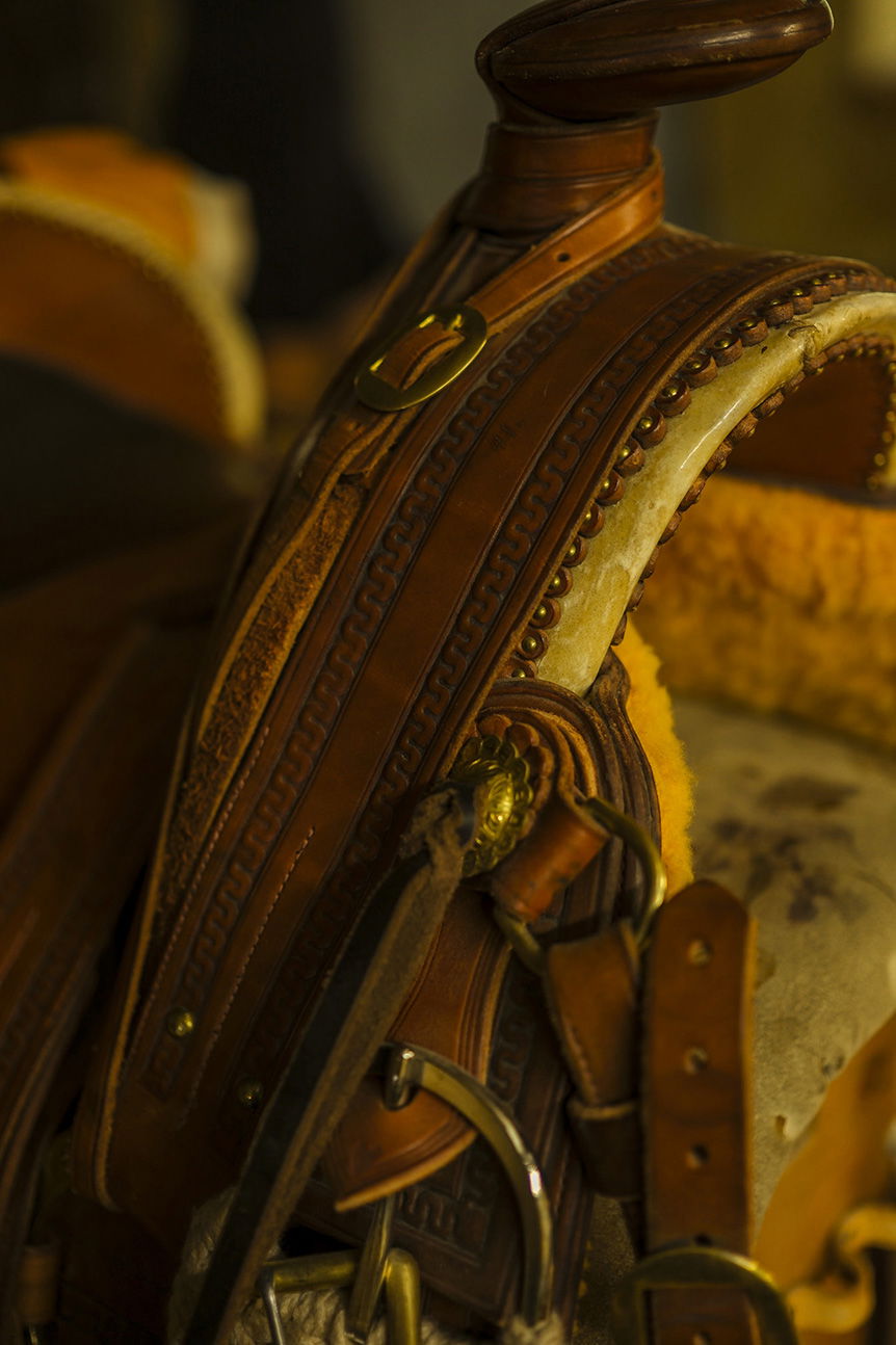 Close-up of leather saddle