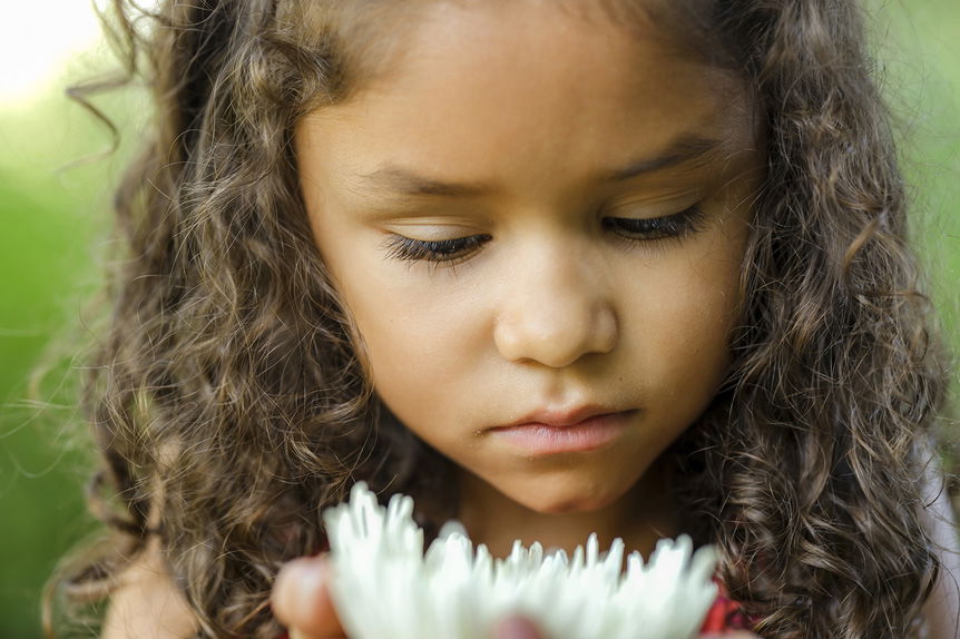Young African-American girl studying large, white flower