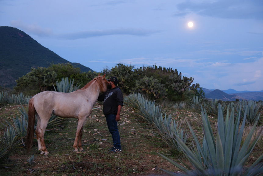 Man with horse in Oaxacan landscape at dusk