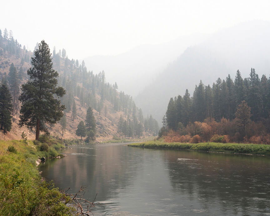 Misty landscape with tree-lined river leading to mountain