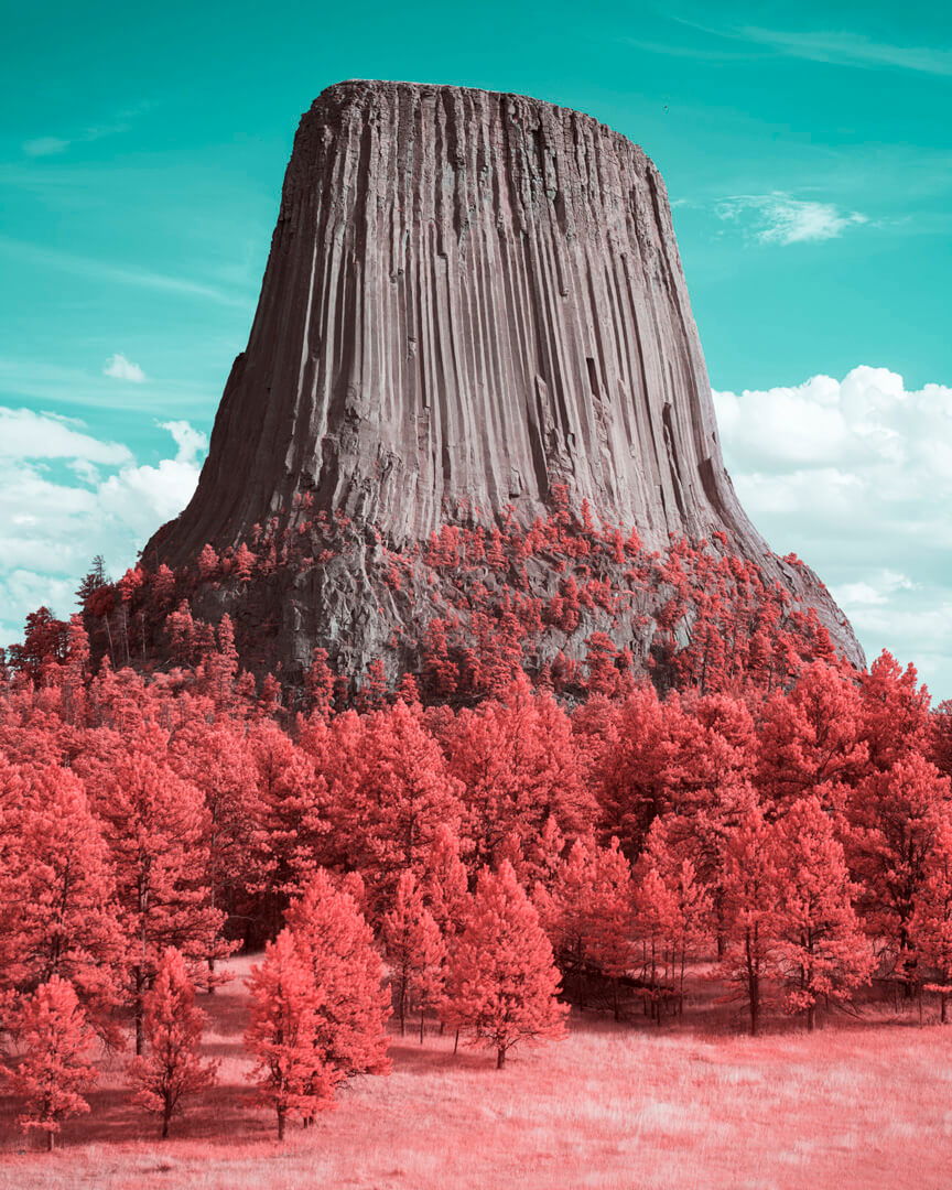 Towering rocky outcrop surrounded by red trees and grass under teal sky