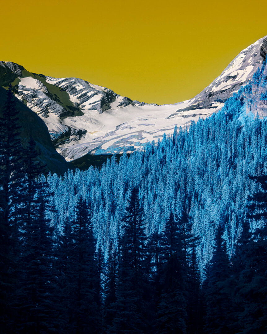 Light blue trees on mountainside under yellow sky