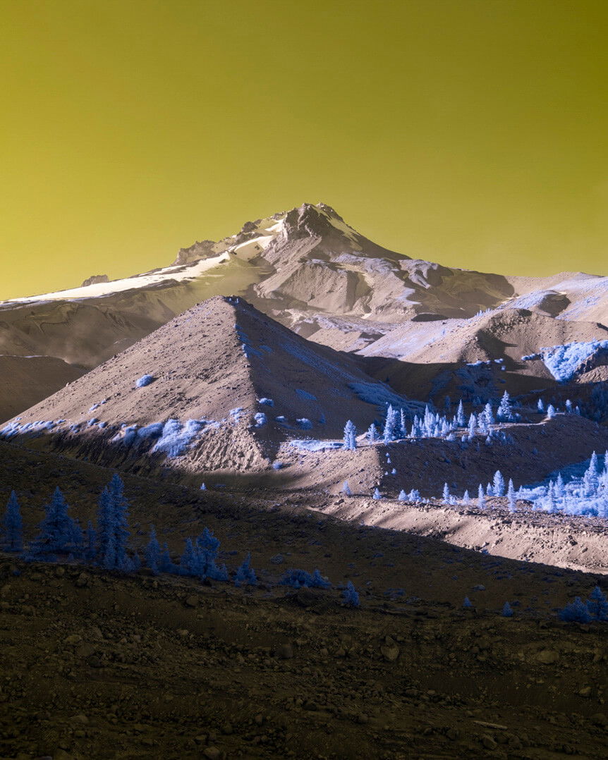 Wide mountainside littered with blue trees under pale green sky