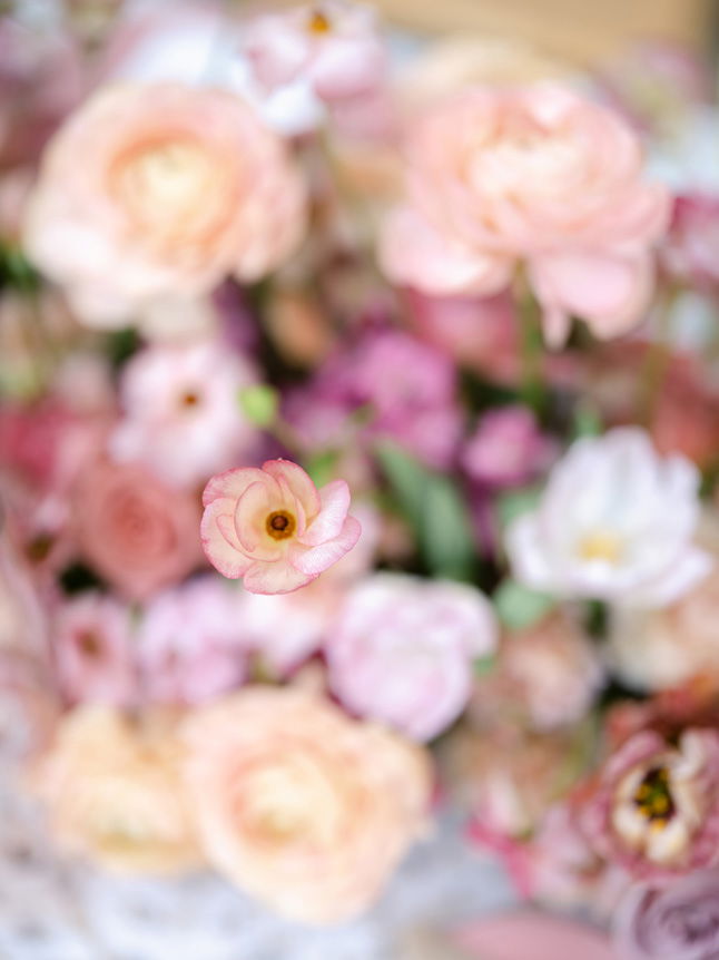 Blurred focus image of pink and white wedding flowers