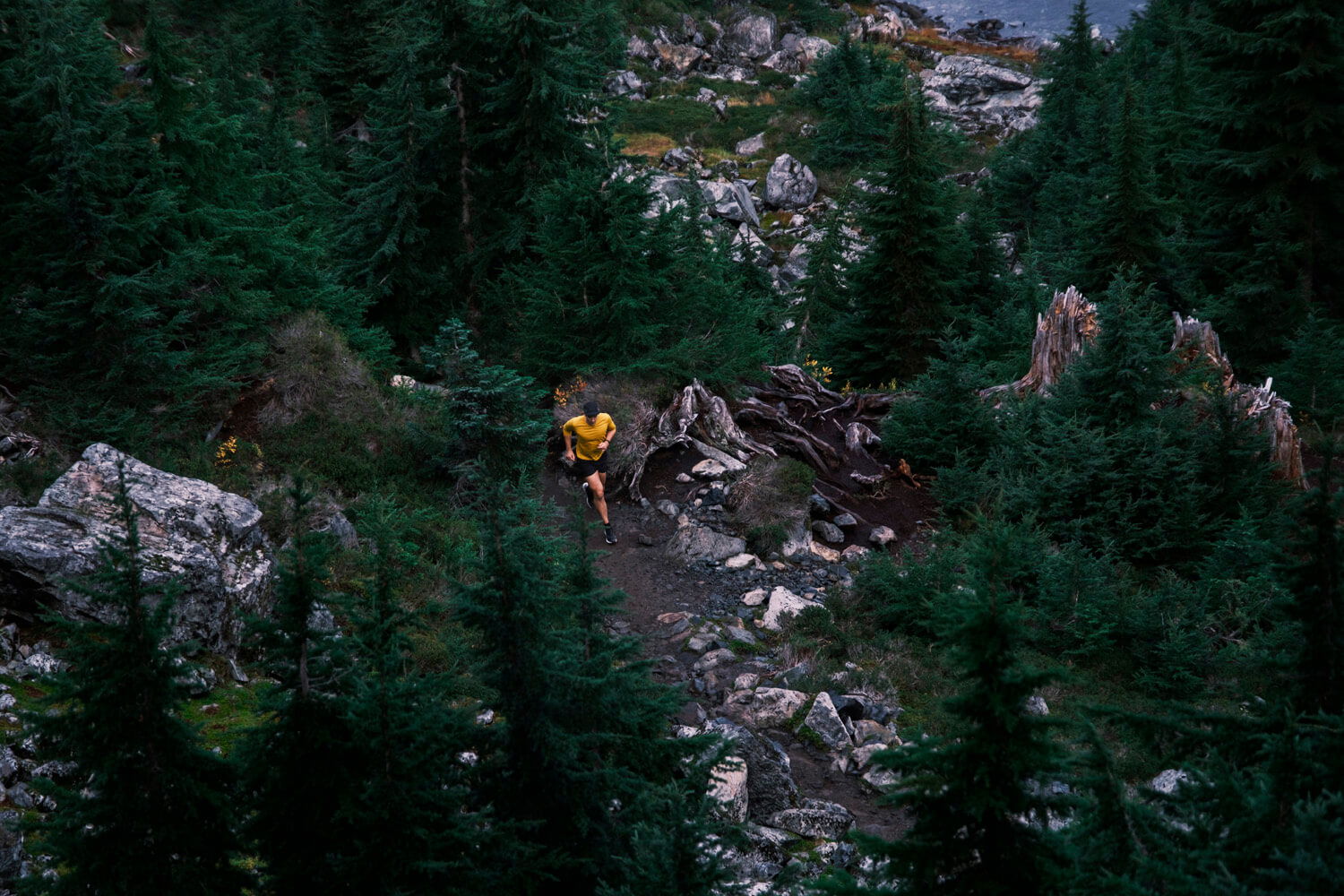 high angle photo of an endurance runner on a mountain trail