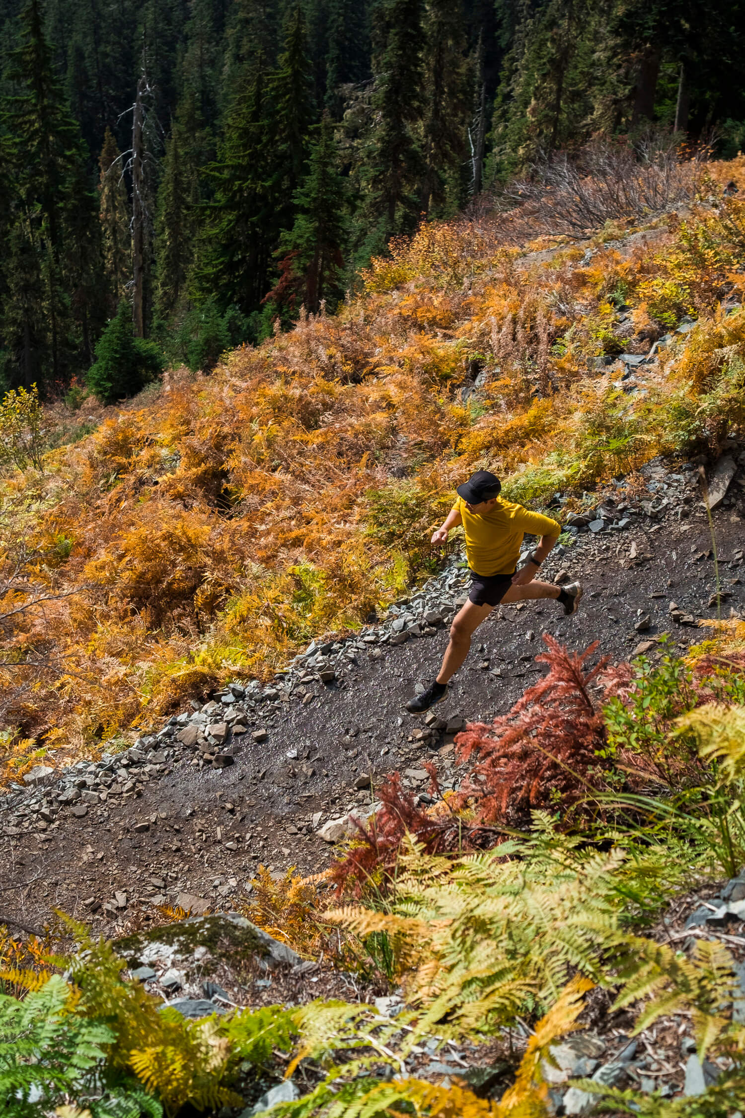 man runs along trail among golden ferns